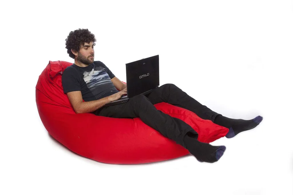 Young adult reclining on a red cotton floor cushion using a laptop displaying the text AMILO.