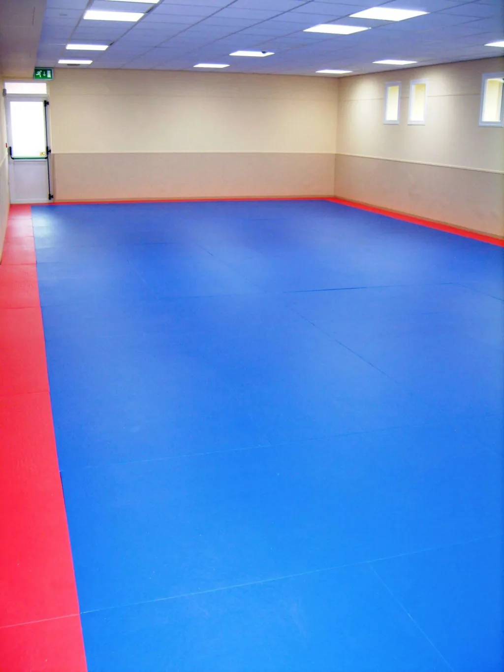 Room with a large blue padded floor and red border, pale beige walls, drop ceiling lights, three small windows and an exit door.
