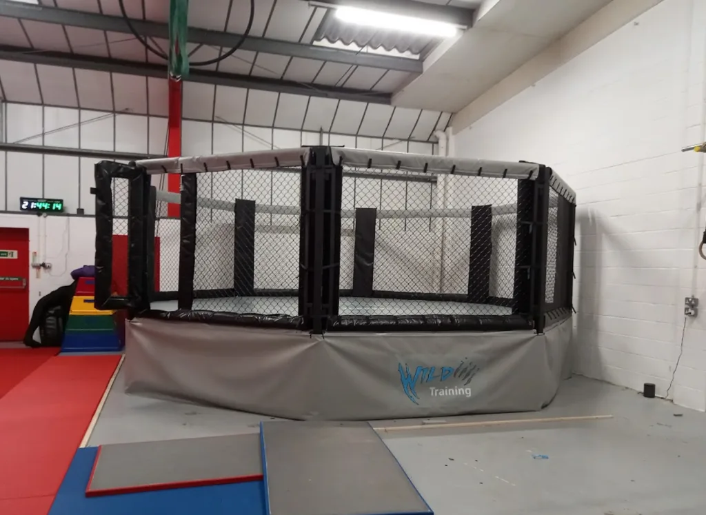 Platform training cage with a raised steel deck, grey side skirt, black padded posts and chain-link mesh inside a gym, branded "Wild Training".