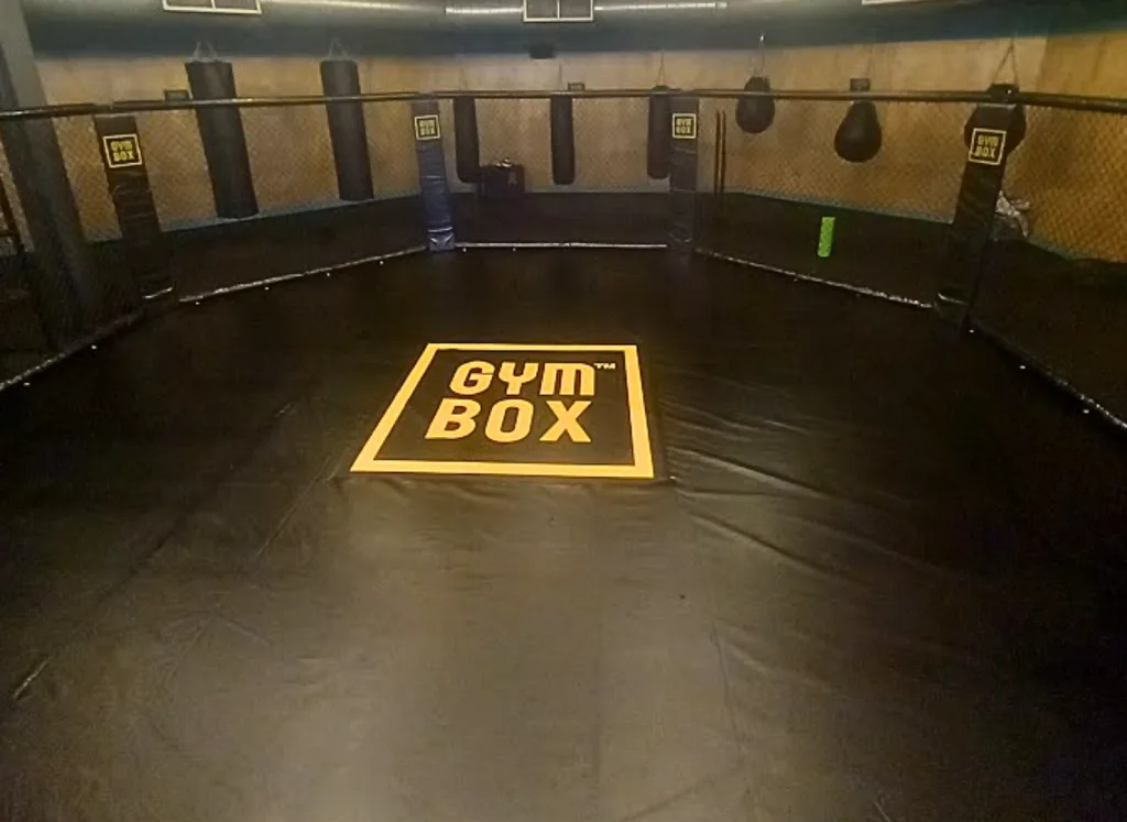 Black octagonal floor-standing MMA cage with a central yellow square reading GYM BOX, chain-link walls and several hanging heavy bags.