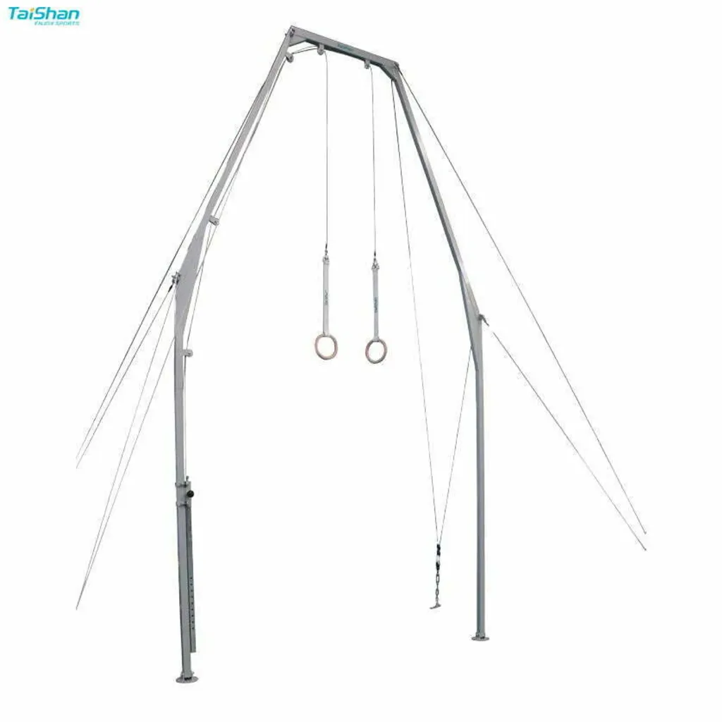 Taishan Training Gymnastics Rings