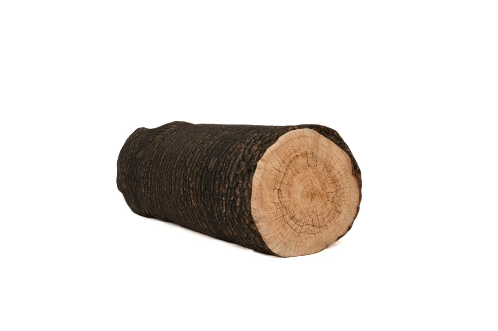 Set of two forest log-shaped cushions with realistic dark bark and light wood end-grain print on durable fabric.