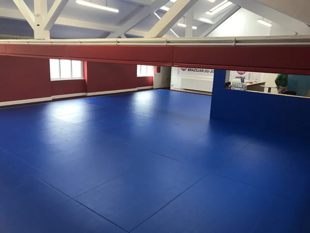 Blue interlocking BJJ mats cover a training room floor with red wall padding, skylit white beams, windows, and a sign reading BRAZILIAN JIU-JI.