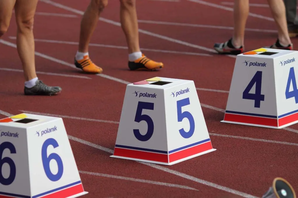 Polanik Lane Markers