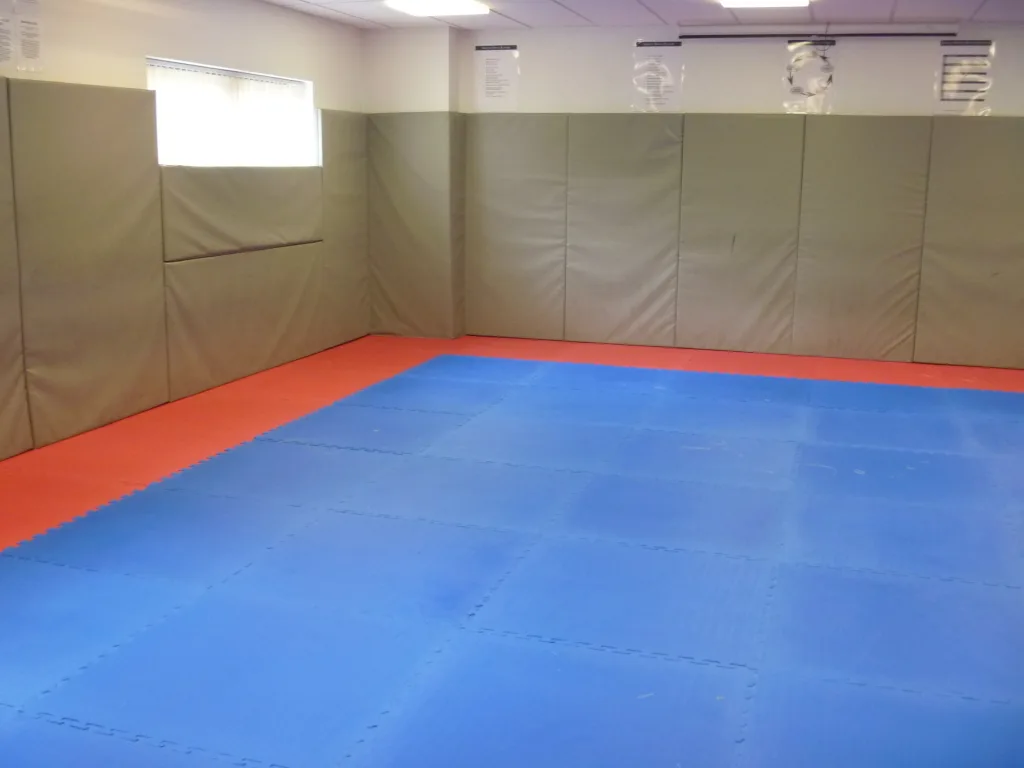 Red border and blue interlocking EVA jigsaw mats covering a martial arts training floor with beige padded wall panels.