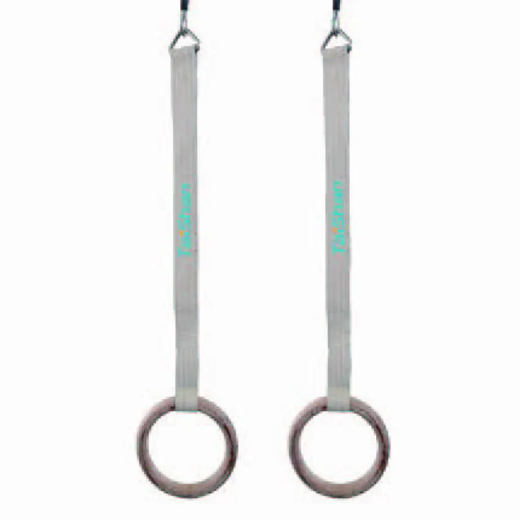 Two multi-layer board gymnastic rings hang from gray straps printed with "Taishan" in turquoise.