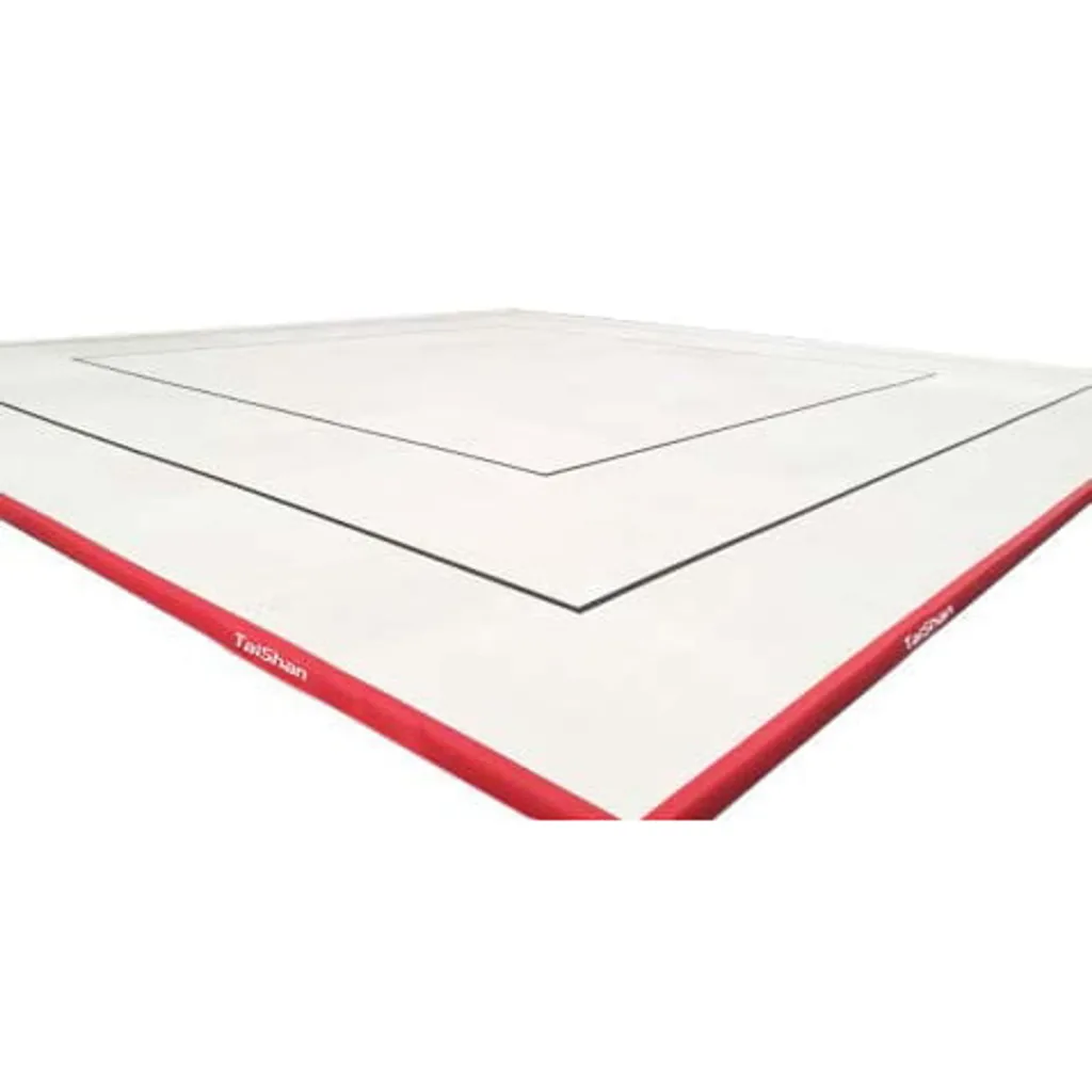 Aerobics floor with concentric boundary lines and outer edge labeled Taishan, colour various.