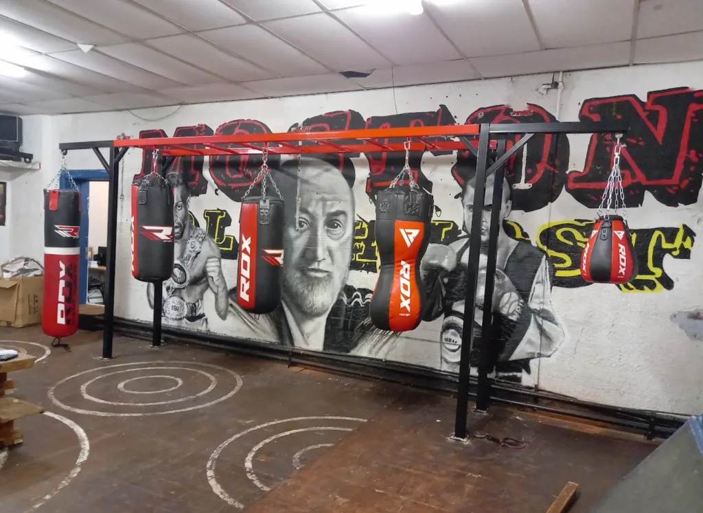 Steel powder-coated equipment rig with hanging punching bags in front of a muraled gym wall.