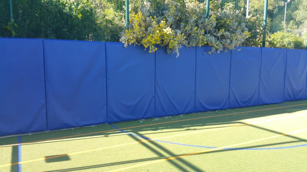 Blue padded panels line a wall of an outdoor sports pitch with yellow flowering shrubs spilling over the top and green artificial turf in front.