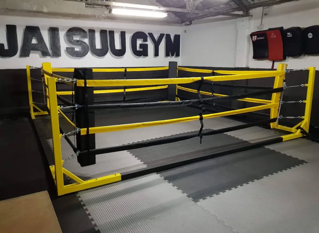 Floor standing ring built from powder-coated steel with customised canvas and pads, on grey interlocking mats under wall text JAISU GYM.