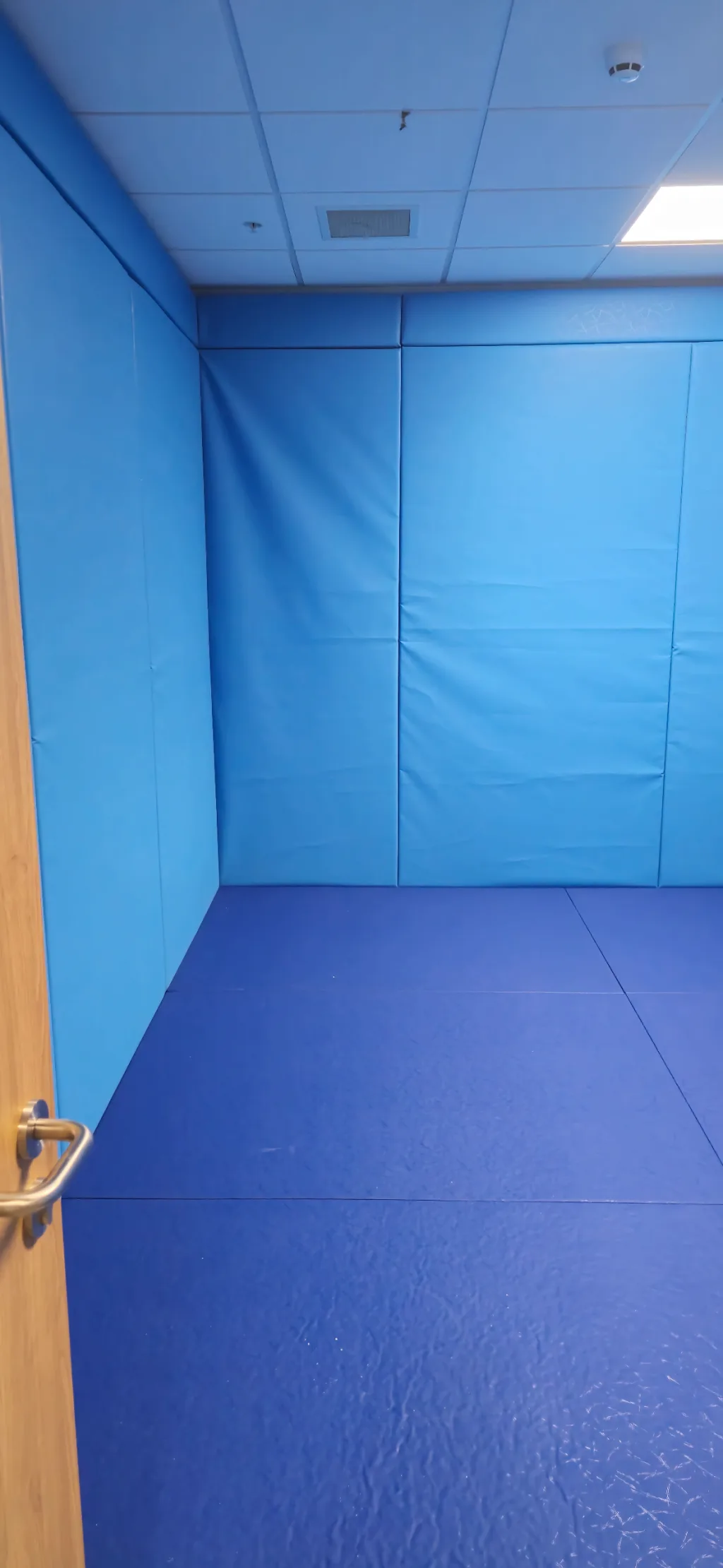 Blue padded room with light blue wall pads, darker blue floor mats, a white dropped ceiling, and a partially open wooden door with metal handle.
