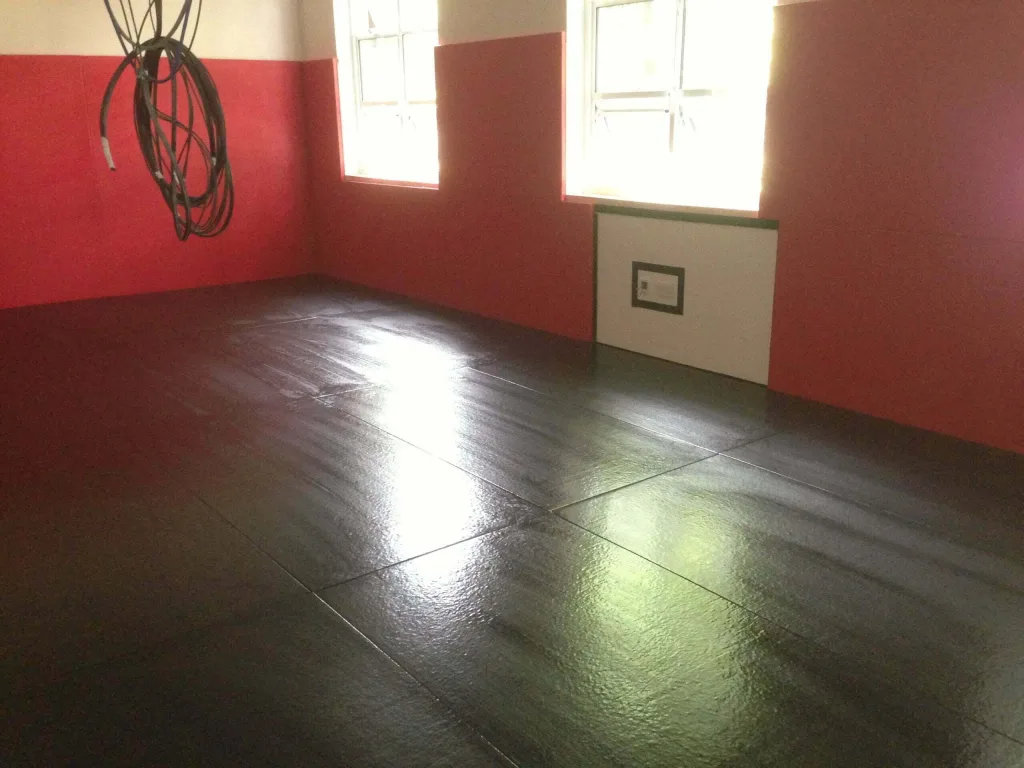 Shiny black fitted dojo mats cover the floor of a red-walled training room with two bright windows and coiled cables hanging from the ceiling.