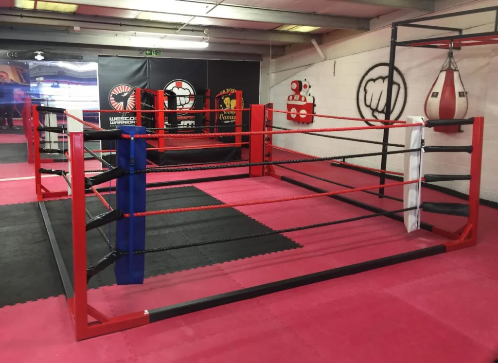 Steel powder-coated floor-standing ring with red frame, black and red ropes, a blue corner pad, and branded canvas on pink mats.