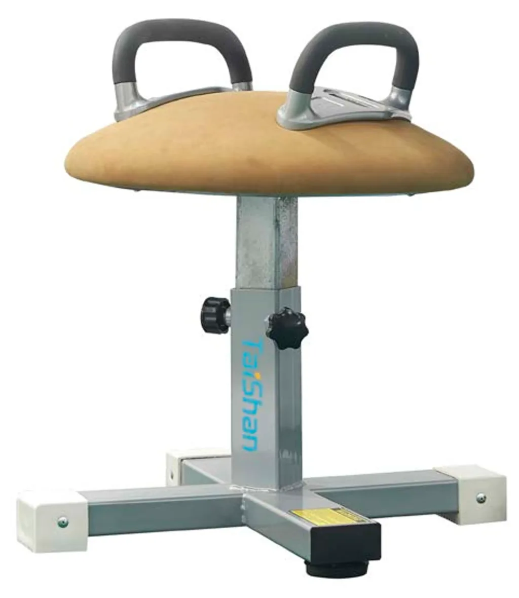 Double ring mushroom trainer with 'Taishan' on column, EVA foam top covered in PU leather, two adjustable pommel handles and carbon steel base.