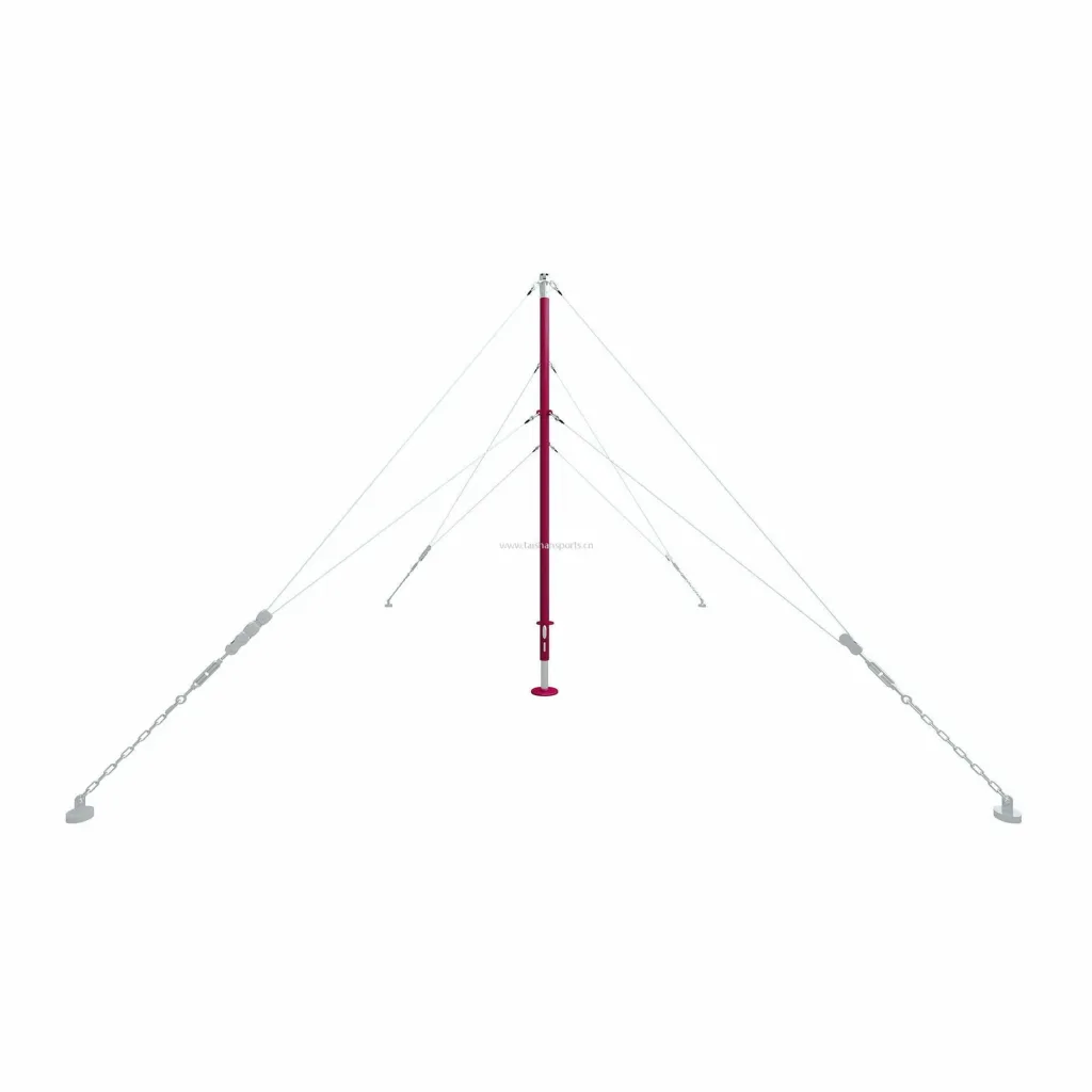FIG-approved competition high bar with a carbon steel vertical support, double stainless-steel tension cables and a 240cm bar anchored outward.