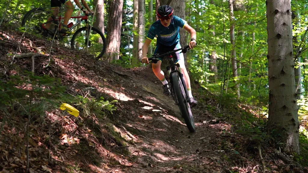 Cyclist in a blue jersey and black helmet rides a mountain bike down a steep wooded trail.